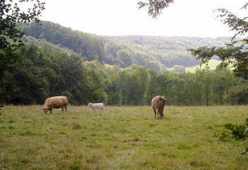 The Seven Valleys in Pas-de-Calais