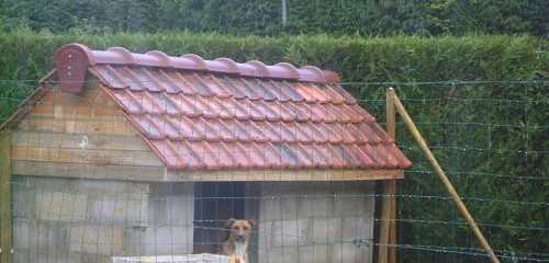 My French life: its raining cats and dogs again!
