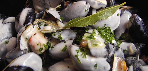 Mussels in white wine sauce with cheese
