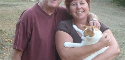 A French Life: Brits set up Cat Rescue in France