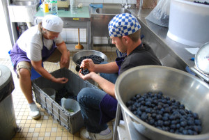 Summer jobs in France
