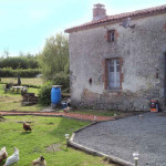 Expats in France | The French house gets electricity and water… almost