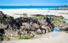 Brittany and its bounty of edible seaweed