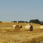 Summer in rural France | Desvres