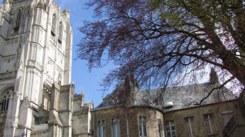 Saint Omer Day Trip | French town of Culture, History and Arts