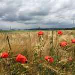 Cambrai Tank 1917 Museum Cambrai France