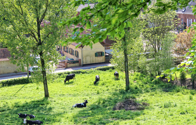 Bon Weekend From The Wild West Of France The Good Life France
